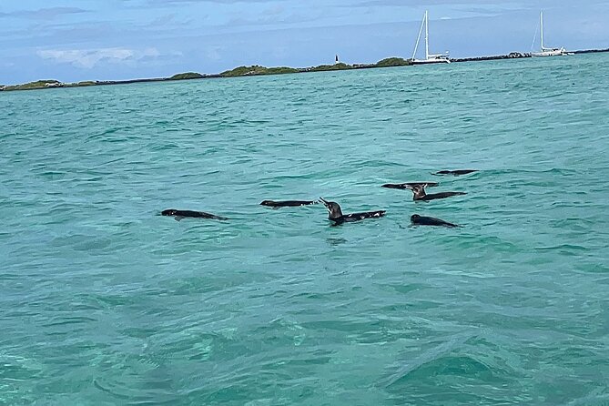 Multi Day Tour Around Galápagos Islands - Good To Know