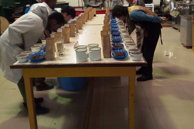 Nairobi City Tour & Coffee Safari - Good To Know