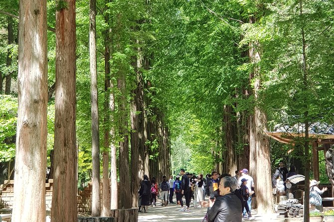 Nami Island and Petite France - Filming Location - Good To Know