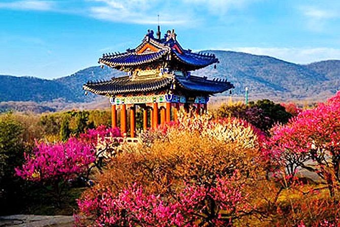 Nanjing Purple Mountain Private Hiking Tour With Lunch and Cableway - Good To Know