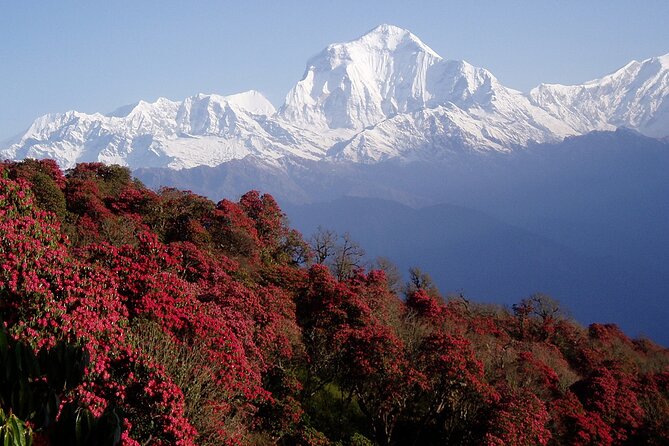 Natural Hot Spring Trek From Kathmandu - Accommodation and Meals