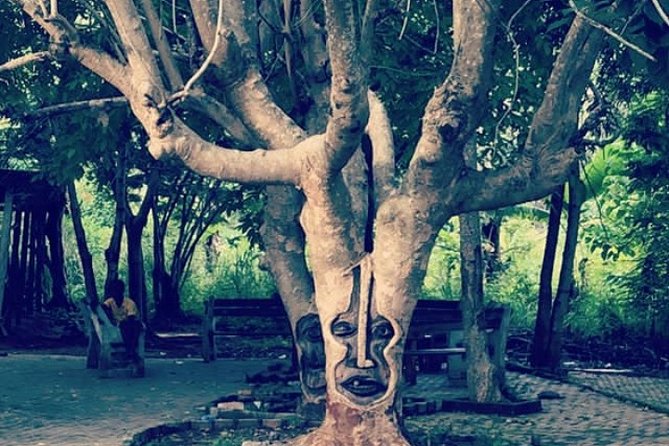 Nature Tour - Tour Location