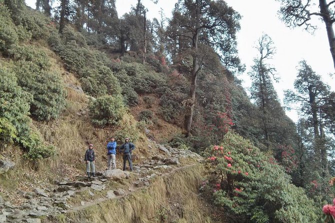 Nature Trek From Dharamshala - Good To Know