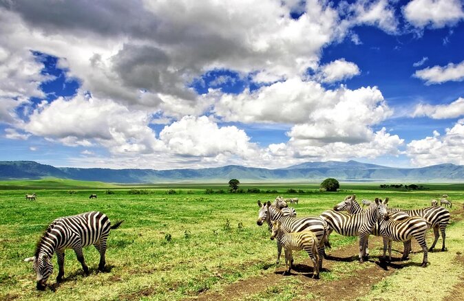 Ngorongoro Crater -Best Safari - Good To Know