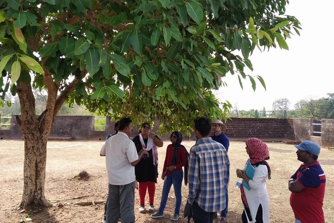 Nine to Four: A Slice of North Malabar by Tyndis - Full Day Tour - Good To Know