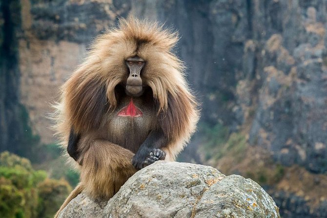 North Ethiopia Historic Route 14 Days Tour Package - Good To Know