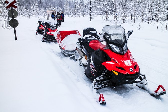 Northern Lights Snowmobile Sleigh Ride From Kemi - Tornio - Good To Know