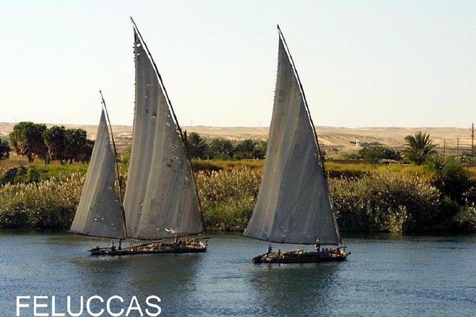 Nubian Village &Botanical Garden Tour With Fellouca Tour From Aswan - Good To Know