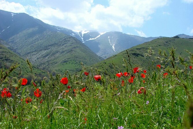 Nurata Mountain 3 Day Private Rural Tour From Samarkand or Bukhara - Good To Know