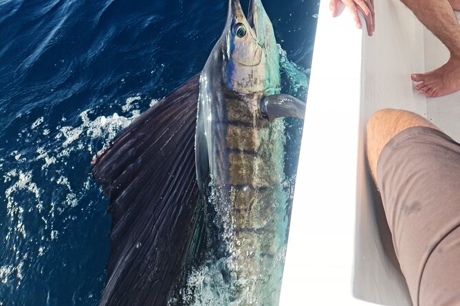 Offshore Fishing Trip (Deep Sea Fishing) - Good To Know