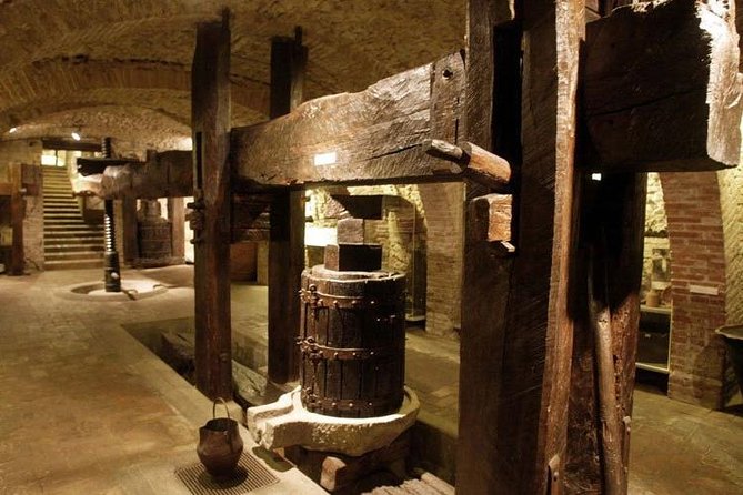 Olive Oil and Wine Museum Visit With Lunch & Assisi Guided Tour - Tour Highlights