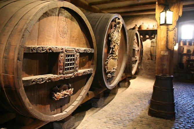 Olive Oil and Wine Museum With Food and Wine Tasting + Quad Tour - Good To Know