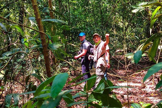 One-Day Adventure in Corcovado National Park - Good To Know