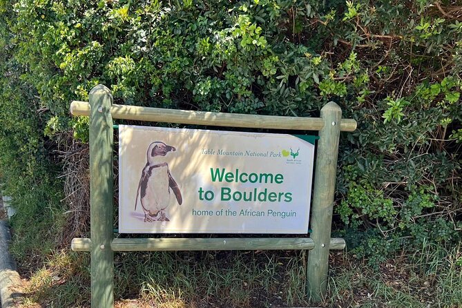 One Day Cape of Good and Penguin Colony Expedition From Cape Town - Good To Know