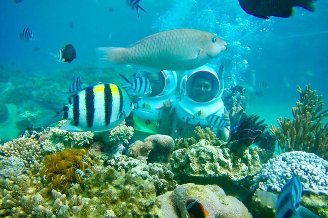 One Day Experiences In The Natural Life Nha Trang - Good To Know