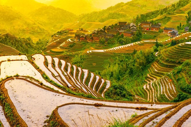 One Day Longji Terrace Field Private Tour