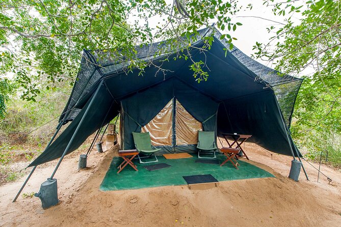 One Night Camping in Wilpattu National Park - Good To Know