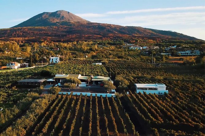 Organic Wine Tasting & Lunch on Vesuvius With Transfer From Amalfi Coast - Good To Know