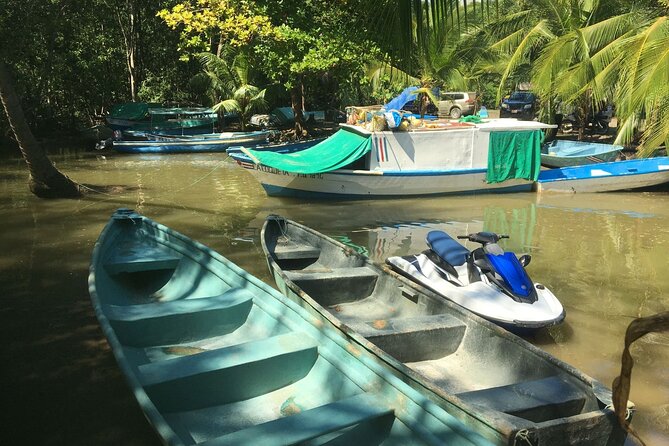Osa Jet Ski - Guided Ocean and Mangrove Tours - Good To Know