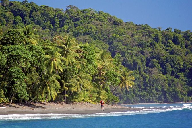 Overnight In Sirena, Corcovado From Puerto Jimenez - Tour Details