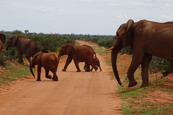 Overnight Safari to Tsavo East, Meet the Red Elephant of Tsavo East - Good To Know