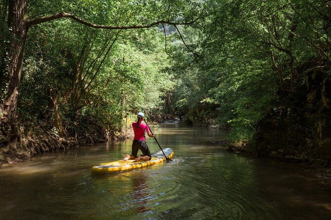 Paddle Board Adventure in Palomino River Tour - Good To Know