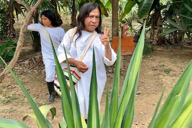 Palomino and Ceviaka Village Tour - Good To Know