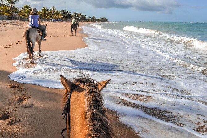 Palomino Horseback Riding Tour - Good To Know