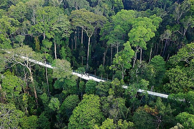 Panoramic Penang Hill & The Habitat Nature Discovery