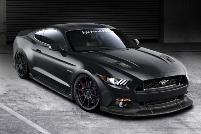 Paris to Chamonix One Way Private Transfer - Good To Know