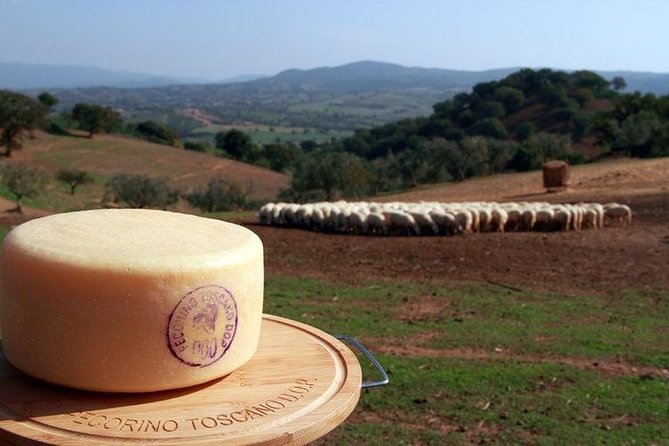 Pecorino Cheese Factory & Chianti Wine Tour in Tuscany - the Perfect Combination - Good To Know
