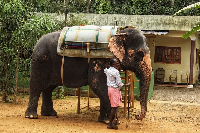 Periyar From Cochin - a Two Day Tour - Good To Know