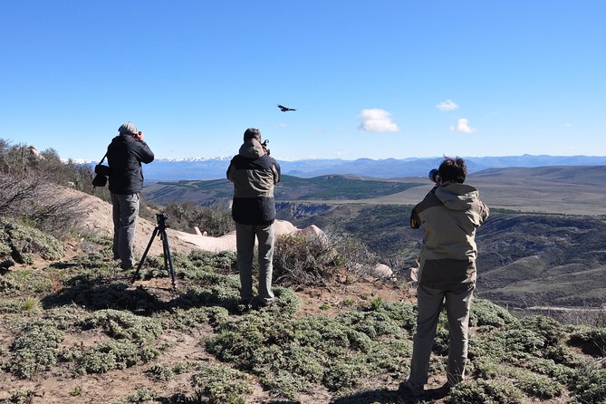 Photo Discovering Condors & Birdwatching - Full Day Tour in Private Service - Good To Know