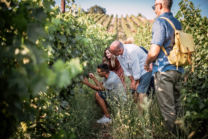 Piacenza Organic Wine Tasting and Lunch Among Medieval Hamlets - Good To Know