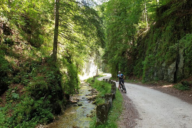 PIATRA CRAIULUI NATIONAL PARK Ebike Tour(Brasov) - Good To Know