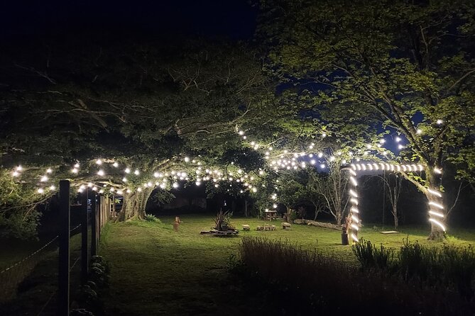 Picnic at the Illuminated Fig Tree - Good To Know