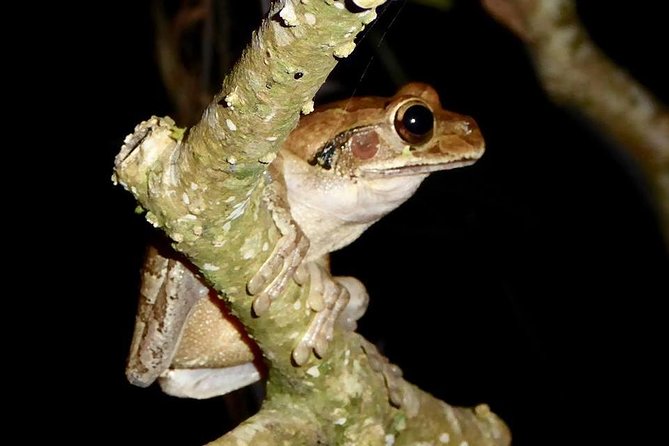 Pico Bonito Nature Reserve - Good To Know