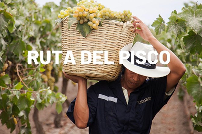 Pisco Route in Ica - Good To Know