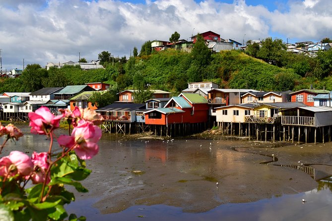 Premium Full Day Shared Tour to Chiloé: Chacao, Castro and Dalcahue - Good To Know