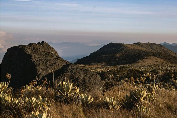 Premium Wellness Package at Neusa Reservoir From Bogota - Good To Know