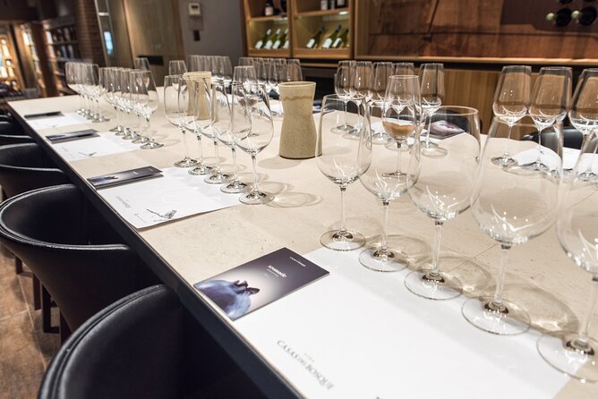 Premium Wine Tasting and Private Transport to Casas Del Bosque - Good To Know