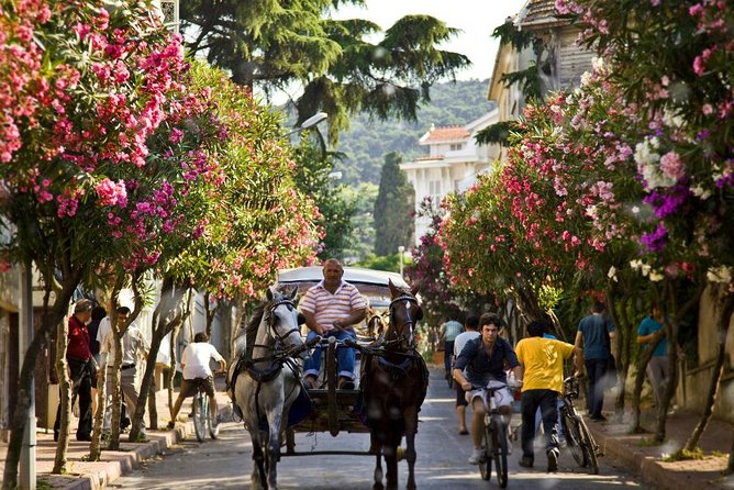 Princes Islands (Full-Day Tour) by U Can Travel - Good To Know