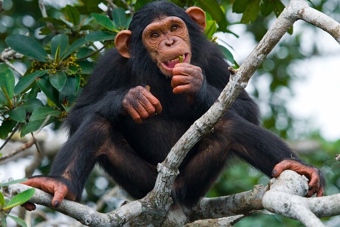 Private 10 Days Tour Visit of Tanzania With Meals Included - Good To Know