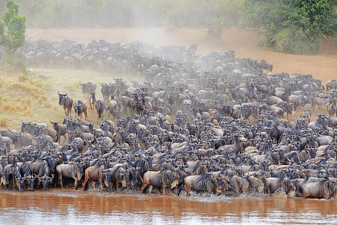 Private 11-DAY Tanzania Great Migration Safari From Entebbe - Overview of the Safari
