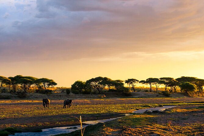 Private 2-Day Tour in Mikumi National Park From Dar Es Salaam