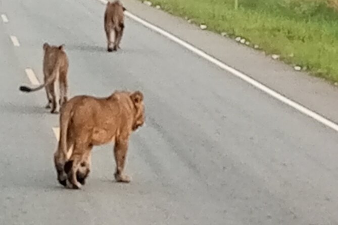 Private 3 Days Murchison Falls National Park - Good To Know
