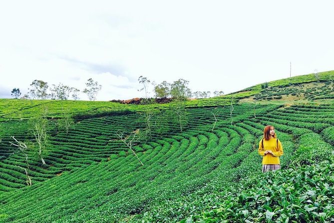 Private 3days 2 Nights Da Lat Flower Paradies From Saigon - Good To Know