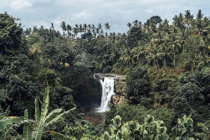 Private 4 Days FAMOUS BALI TRIP With NUSA PENIDA TOURS - Good To Know