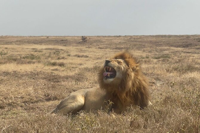 Private 4 Days Safari- Tarangire, Ngorongoro & Serengeti - Good To Know