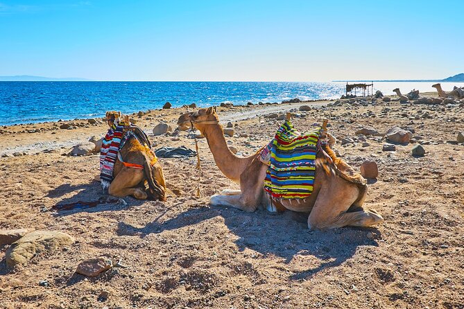 Private 5 in 1 Desert Adventure in Sharm El-Sheikh With Pickup - Good To Know